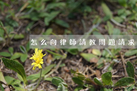 怎么向律師請教問題(請求律師幫助)