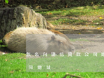怎么向捷信貸款公司地址(怎么向捷信貸款公司地址)