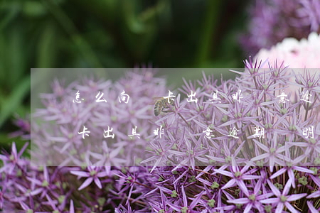 怎么向銀卡出具非惡意逾期證明-怎么向銀卡出具非惡意逾期證明書(shū)
