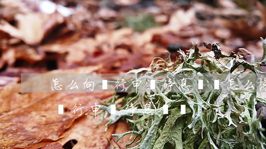 怎么向銀行申請停息掛賬怎么操作-怎樣向銀行申請停息掛賬