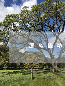 怎么告功夫貸還款利息害死人6-