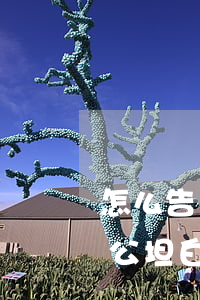 怎么告訴老公欠網(wǎng)貸(怎么跟老公坦白自己欠了網(wǎng)貸)