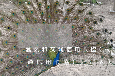 怎么和交通信用卡協(xié)商(怎么跟交通信用卡協(xié)商還款)