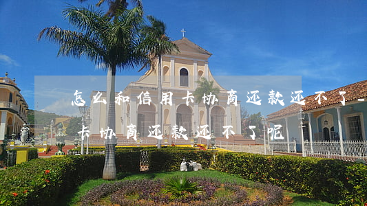 怎么和信用卡协商还款还不了-怎么和信用卡协商还款还不了呢