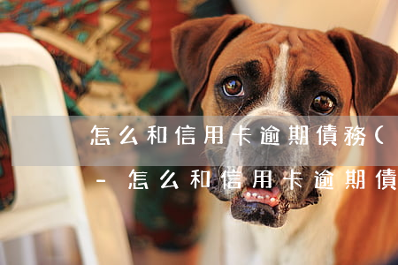 怎么和信用卡逾期債務(wù)負責人溝通-怎么和信用卡逾期債務(wù)負責人溝通協(xié)商