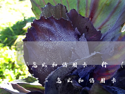 怎么和信用卡銀行協(xié)商還款還不了-怎么和信用卡銀行協(xié)商還款還不了呢