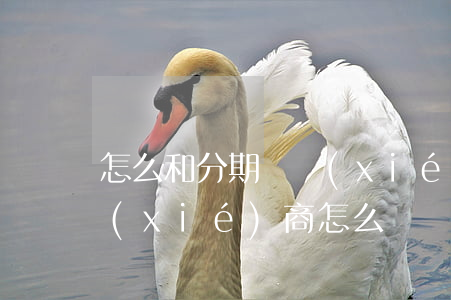 怎么和分期樂協(xié)商免息(分期樂協(xié)商怎么說)