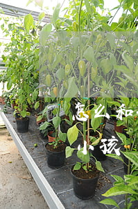 怎么和孩子介紹律師(如何培養(yǎng)小孩當(dāng)律師)