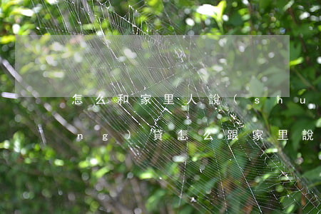 怎么和家里人說(shuō)欠了網(wǎng)貸(怎么跟家里說(shuō)欠了網(wǎng)貸)