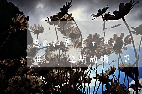 怎么和平臺(tái)協(xié)商還款,在還沒逾期的情況下-怎么和平臺(tái)協(xié)商還款,在還沒逾期的情況下還款