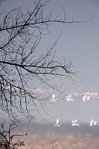 怎么和平臺協商還款,在還沒逾期的情況下-怎么和平臺協商還款,在還沒逾期的情況下還款