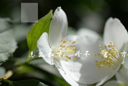 怎么和平離婚不傷害對方