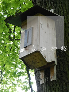 怎么和招商停息掛賬