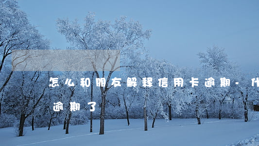 怎么和朋友解释信用卡逾期-什么叫信用卡逾期了
