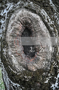 怎么和民生信用卡協(xié)商還款電話-怎么和民生信用卡協(xié)商還款電話打不通