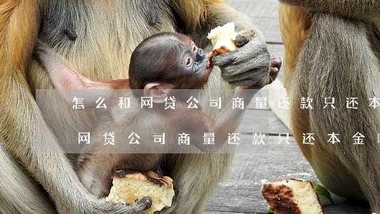 怎么和网贷公司商量还款只还本金-怎么和网贷公司商量还款只还本金呢