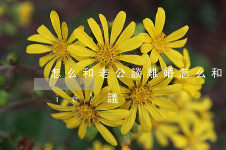 怎么和老公談離婚(怎么和老公談離婚協(xié)議)