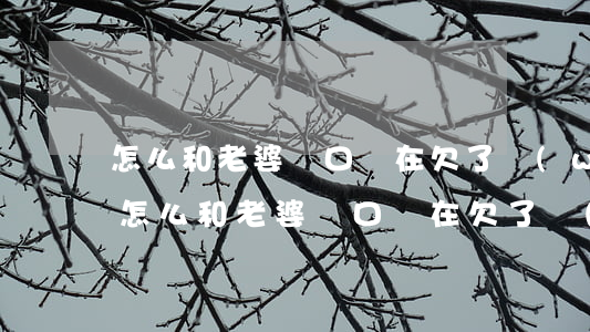 怎么和老婆開口說在欠了網(wǎng)貸(怎么和老婆開口說在欠了網(wǎng)貸)