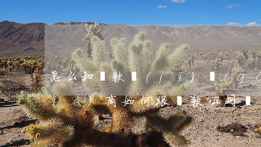 怎么和貸款機(jī)構(gòu)協(xié)商(如何跟貸款公司協(xié)商)