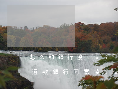 怎么和銀行協(xié)商個(gè)性化還款(銀行同意協(xié)商還款怎么走流程)