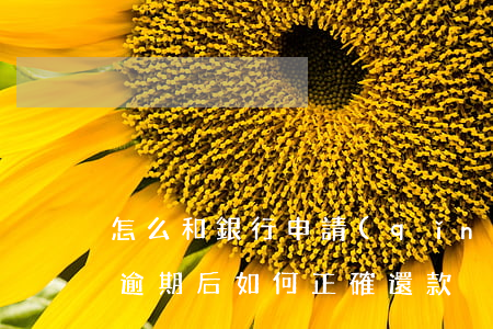 怎么和銀行申請(qǐng)逾期還款(貸款逾期后如何正確還款)