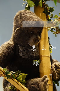 怎么和银行谈停息挂账(怎么和银行谈停息挂账)