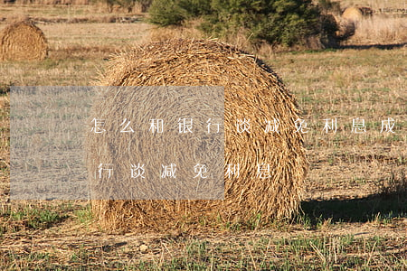 怎么和银行谈减免利息成功案例-如何和银行谈减免利息