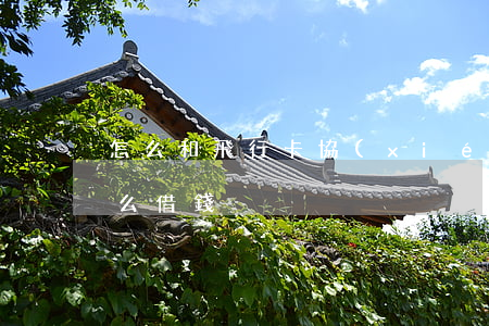 怎么和飛行卡協(xié)商還款 飛行卡怎么借錢