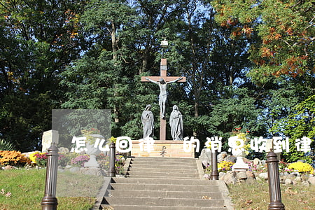 怎么回律師的消息(收到律師函信息怎么處理)