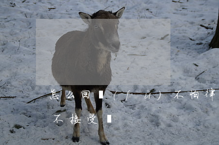 怎么回復(fù)不怕律師函嗎(律師函可以不接受嗎)