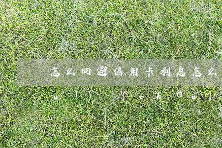 怎么回避信用卡利息(怎么玩信用卡不會(huì)產(chǎn)生利息)