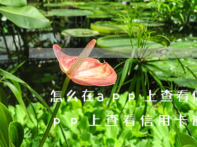 怎么在app上查看信用卡逾期-怎么在app上查看信用卡逾期記錄
