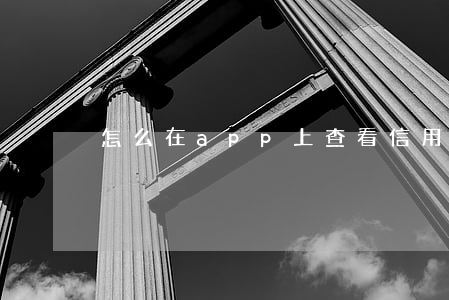 怎么在app上查看信用卡逾期