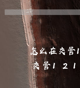 怎么在交管12123更新逾期了-怎么在交管12123更新逾期了信息