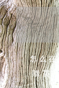 怎么在信用卡上買手機，輕松購物：使用信用卡購買手機的詳細指南