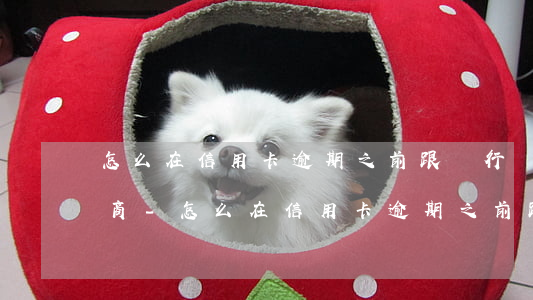 怎么在信用卡逾期之前跟銀行協(xié)商-怎么在信用卡逾期之前跟銀行協(xié)商還款