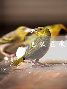 怎么在微信起訴商家(微信上面怎么起訴)