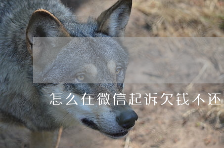 怎么在微信起诉(欠钱不还怎么在微信起诉)