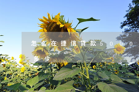 怎么在捷信貸款5000(捷信貸款五萬要還多少)
