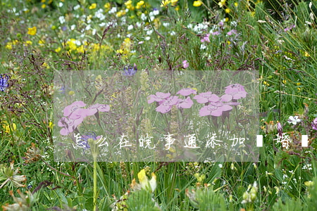 怎么在皖事通添加離婚證