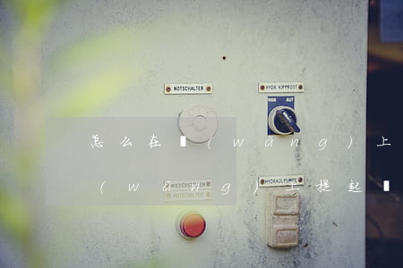 怎么在網(wǎng)上提起訴訟(怎么在網(wǎng)上提起訴訟)