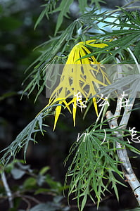 怎么在網(wǎng)上起訴欠錢(qián)(怎么在網(wǎng)上起訴欠錢(qián)的人呢)