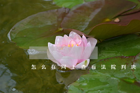 怎么在网上查看法院判决结果