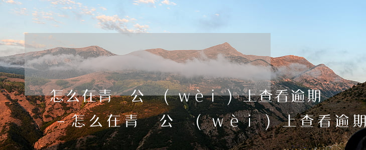 怎么在青島公衛(wèi)上查看逾期隨訪-怎么在青島公衛(wèi)上查看逾期隨訪記錄