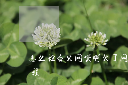 怎么坦白欠网贷啊(欠了网贷跟家人坦白的过程)