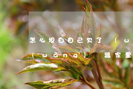 怎么坦白自己欠了網(wǎng)貸(欠了網(wǎng)貸跟家里坦白)