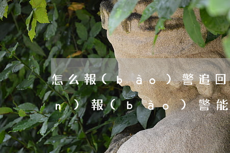 怎么報(bào)警追回被騙的錢(qián)(報(bào)警能追回被騙的錢(qián)嗎)