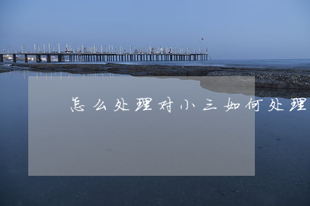 怎么处理对小三(如何处理小三的问题)