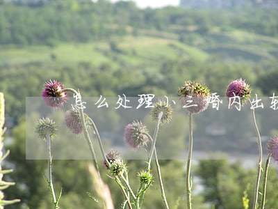 怎么处理小三(婚内出轨怎么处理小三)