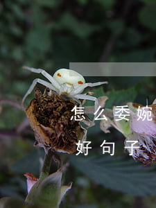 怎么委婉的催收欠款(怎么委婉的催收欠款的好句子)